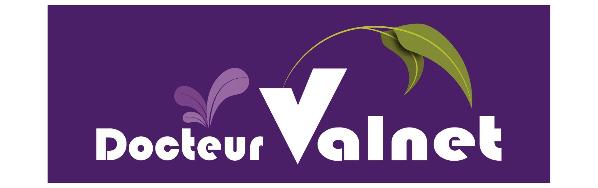 Docteur Valnet