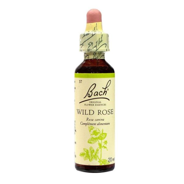 Bach Wild Rose Fleur Gtt 20ml Pharmarun