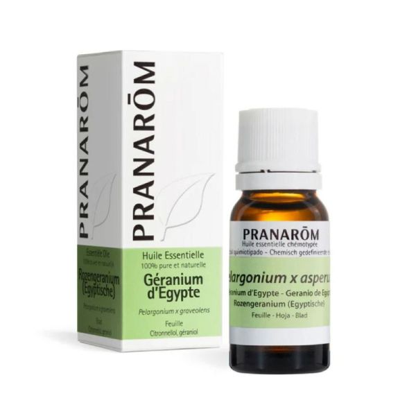 Pranarom H E Geranium D Egypte