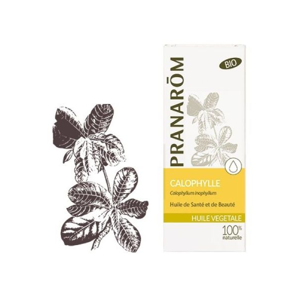 Pranarom huile végétale de Calophylle 50mL