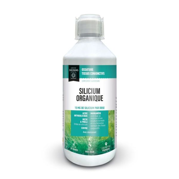 Dayang Silicium Orga Fl500Ml 1
