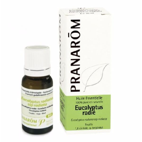 Pranarom Eucalyptus radié 10ml